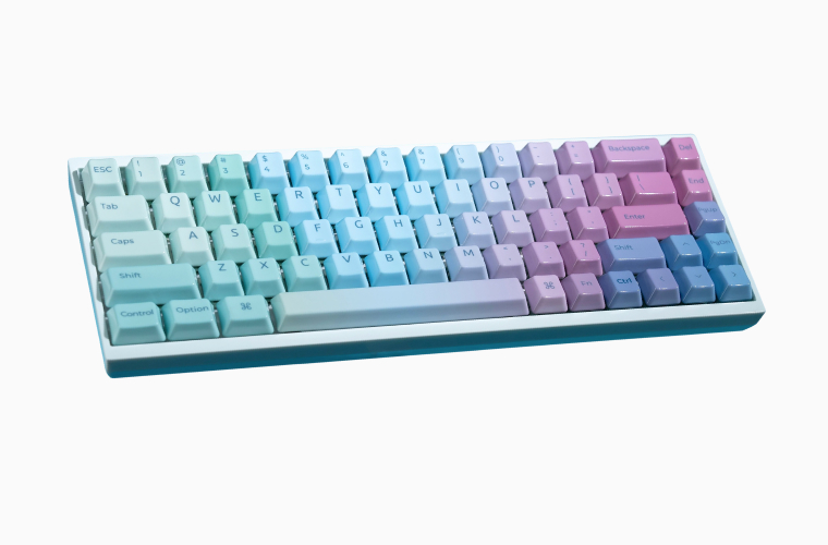 Q16 HE Color Gradient 스페셜 에디션