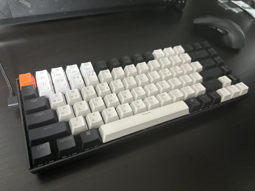 [제품 리뷰] 맥/윈도우 모두 호환 유/무선 텐키리스 기계식 적축 키보드 추천