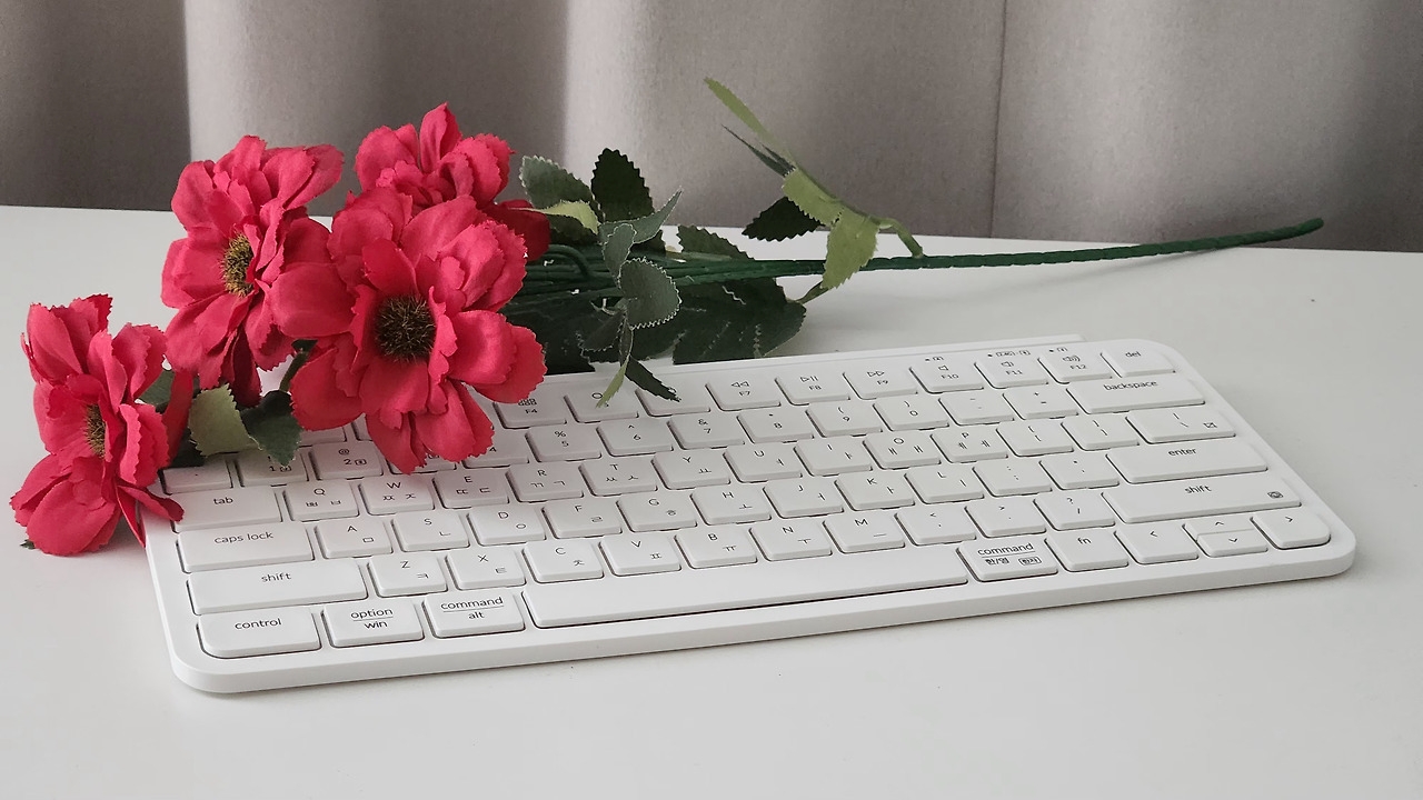 키크론 B1 PRO 드디어 커스텀 되다