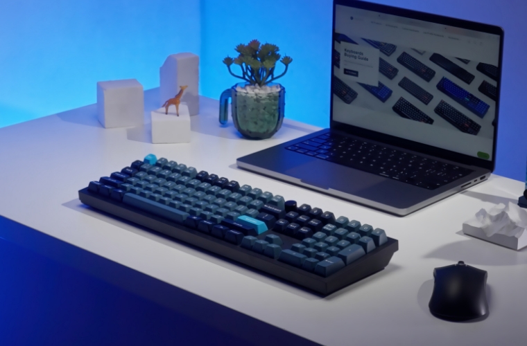 Q6 PRO 3